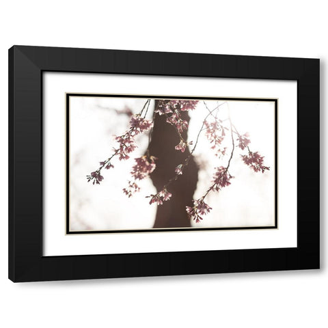 Sakura Black Modern Wood Framed Art Print with Double Matting by Fujii, Tsuneya