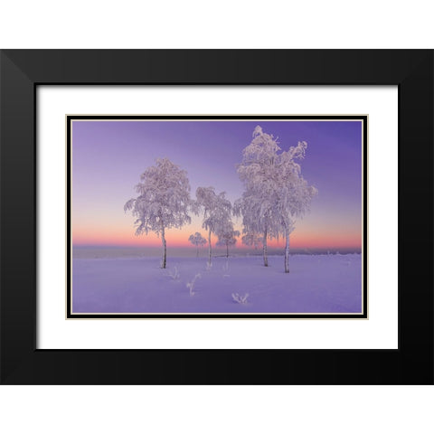 January Evening Black Modern Wood Framed Art Print with Double Matting by Makhmud-Akhunov, Ruslan