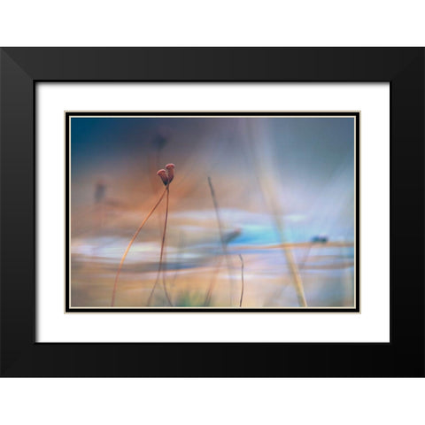 April Love Black Modern Wood Framed Art Print with Double Matting by Marthinussen, Willy