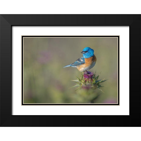 Blowin In The Wind Black Modern Wood Framed Art Print with Double Matting by Barsh, Greg