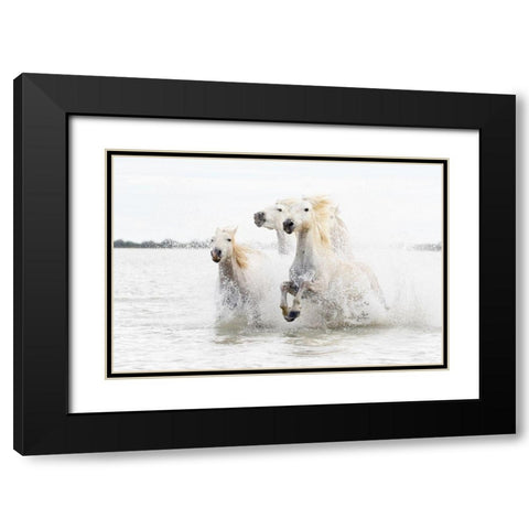Horses  Hight Key Black Modern Wood Framed Art Print with Double Matting by De Simone, Ciro