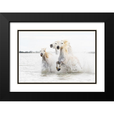 Horses  Hight Key Black Modern Wood Framed Art Print with Double Matting by De Simone, Ciro