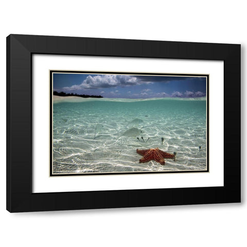 Underwater Black Modern Wood Framed Art Print with Double Matting by Pardini, Elena