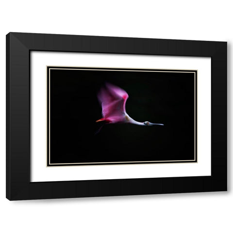 Rose In The Air Black Modern Wood Framed Art Print with Double Matting by Chang, Phillip