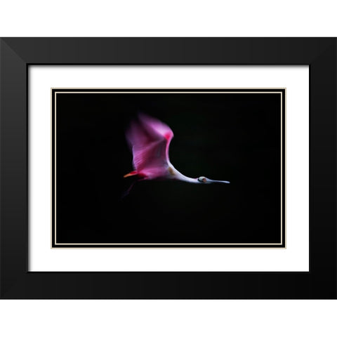 Rose In The Air Black Modern Wood Framed Art Print with Double Matting by Chang, Phillip