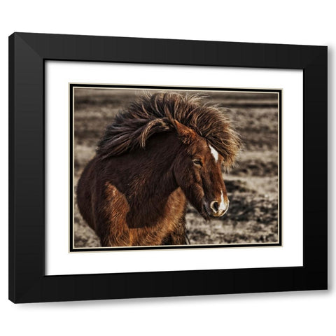 Windblown Black Modern Wood Framed Art Print with Double Matting by Ingibergsson, Bragi