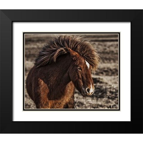 Windblown Black Modern Wood Framed Art Print with Double Matting by Ingibergsson, Bragi