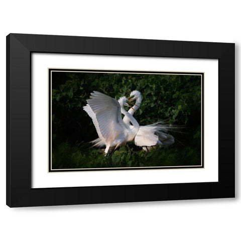 Love Is In The Air! Black Modern Wood Framed Art Print with Double Matting by Chang, Phillip