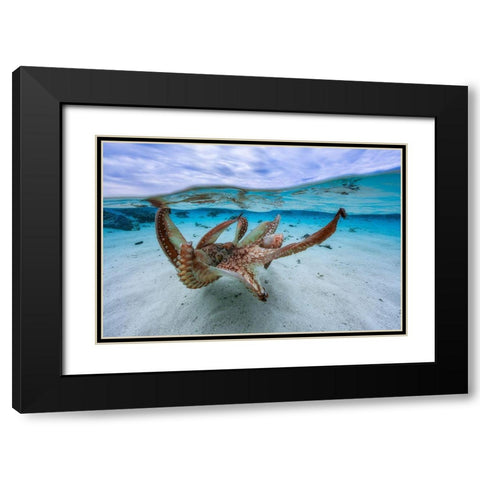 Octopus Black Modern Wood Framed Art Print with Double Matting by Gabriel, Barathieu