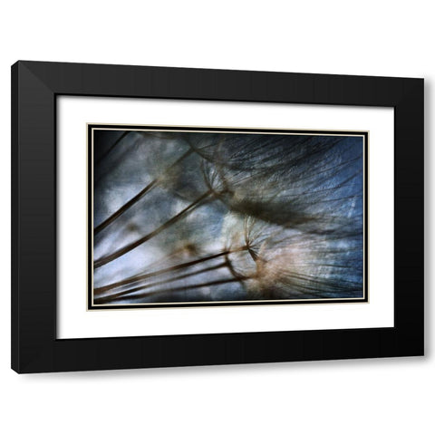 Untitled Black Modern Wood Framed Art Print with Double Matting by Grambone, Antonio