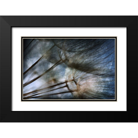 Untitled Black Modern Wood Framed Art Print with Double Matting by Grambone, Antonio