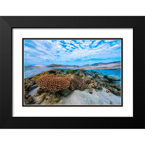 Into The Lagoon! Black Modern Wood Framed Art Print with Double Matting by Gabriel, Barathieu