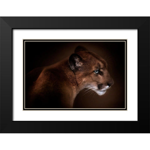 Puma Black Modern Wood Framed Art Print with Double Matting by Reindl, Doris