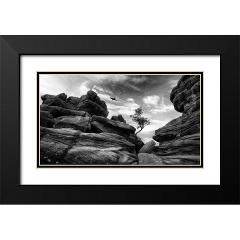 Brimham Black Modern Wood Framed Art Print with Double Matting by Therion
