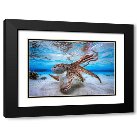 Dancing Octopus Black Modern Wood Framed Art Print with Double Matting by Gabriel, Barathieu