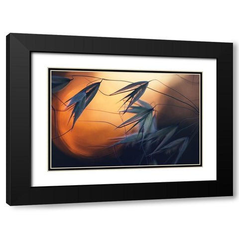 Sunset Black Modern Wood Framed Art Print with Double Matting by Lazarov, Dimitar