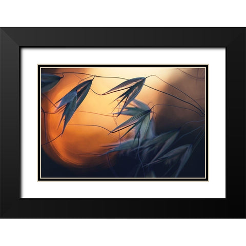 Sunset Black Modern Wood Framed Art Print with Double Matting by Lazarov, Dimitar