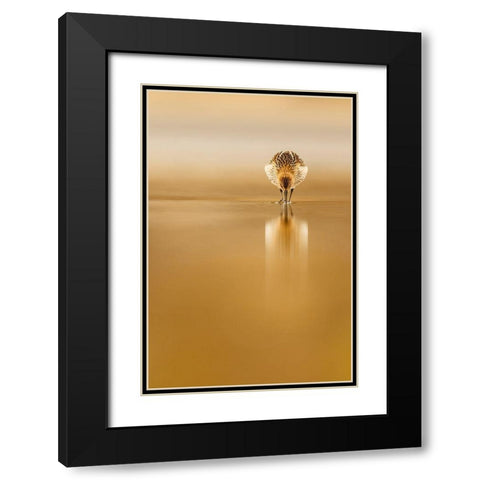 Dunlin Reflection Black Modern Wood Framed Art Print with Double Matting by Suarez, Mario