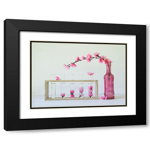 Petal Collecting Black Modern Wood Framed Art Print with Double Matting by Hammer, Jacqueline