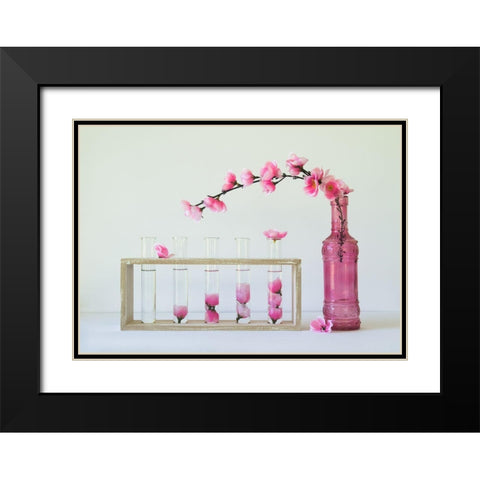 Petal Collecting Black Modern Wood Framed Art Print with Double Matting by Hammer, Jacqueline