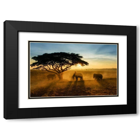 Morning Elephant Home Town Black Modern Wood Framed Art Print with Double Matting by Whanset, Saravut