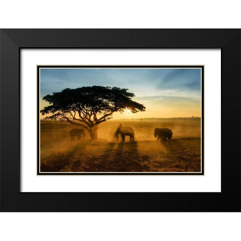 Morning Elephant Home Town Black Modern Wood Framed Art Print with Double Matting by Whanset, Saravut