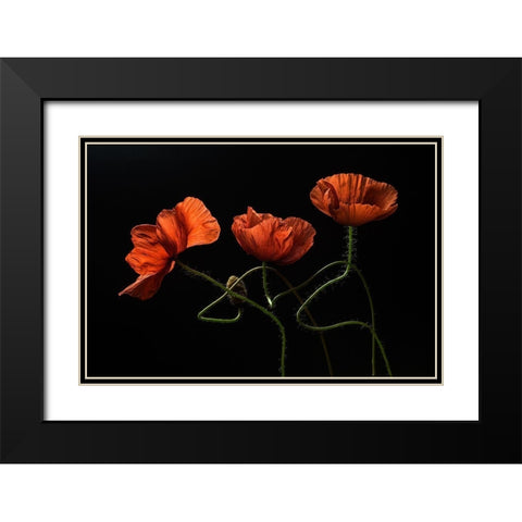 Around Midnight #2 Black Modern Wood Framed Art Print with Double Matting by Lenka