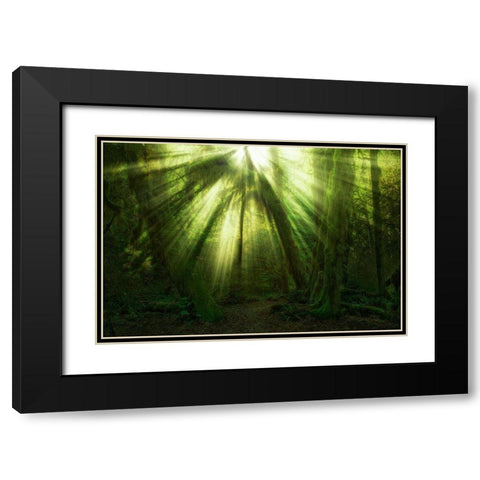 The Miracle Black Modern Wood Framed Art Print with Double Matting by Zakravsky, Jaroslav
