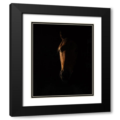 The Beauty of The Thoroughbred Black Modern Wood Framed Art Print with Double Matting by Lee Chapman, Sharon