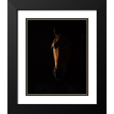 The Beauty of The Thoroughbred Black Modern Wood Framed Art Print with Double Matting by Lee Chapman, Sharon