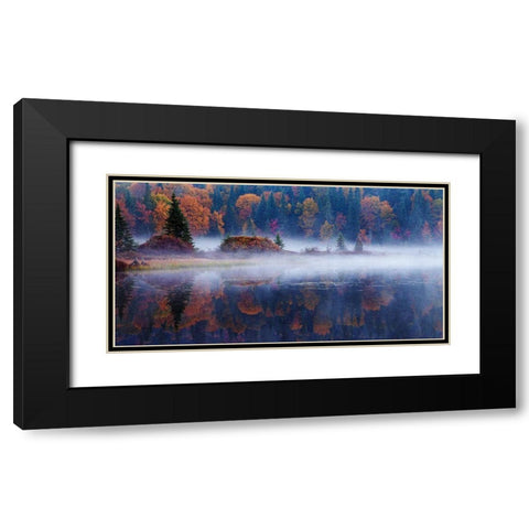 Laurentian Forest Black Modern Wood Framed Art Print with Double Matting by Costina, Mircea