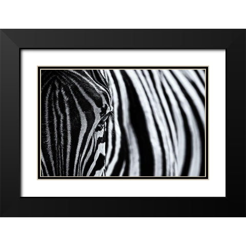 The Look Of Nature Black Modern Wood Framed Art Print with Double Matting by Tagliarino, Marco