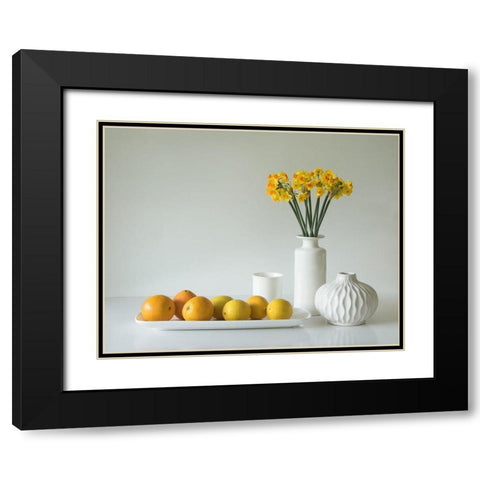 Jonquils And Citrus Black Modern Wood Framed Art Print with Double Matting by Hammer, Jacqueline