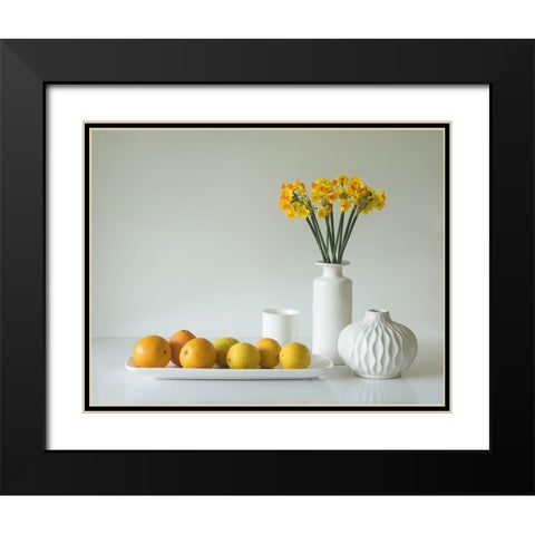 Jonquils And Citrus Black Modern Wood Framed Art Print with Double Matting by Hammer, Jacqueline