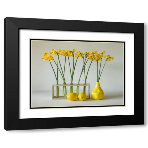 The Freshness Of Spring Black Modern Wood Framed Art Print with Double Matting by Hammer, Jacqueline