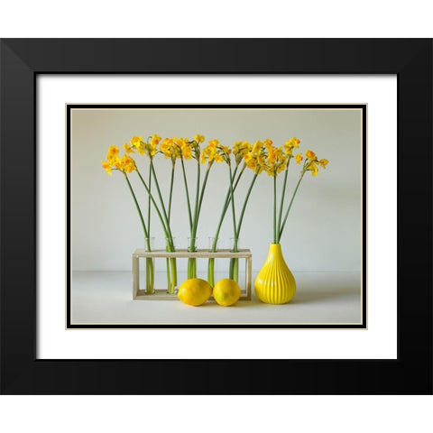 The Freshness Of Spring Black Modern Wood Framed Art Print with Double Matting by Hammer, Jacqueline