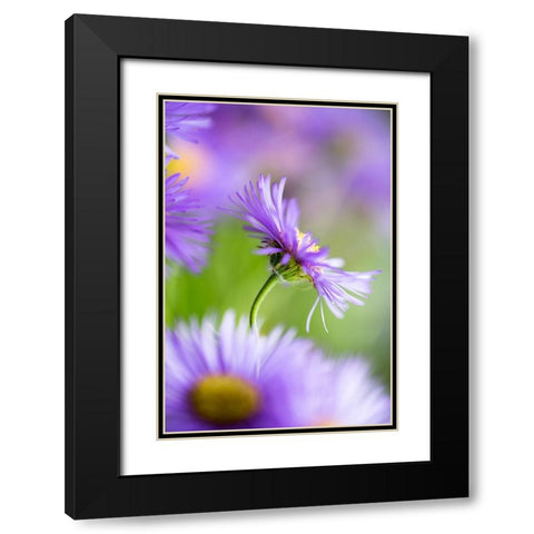 Summer Splash Black Modern Wood Framed Art Print with Double Matting by Ljubicic, Dusan