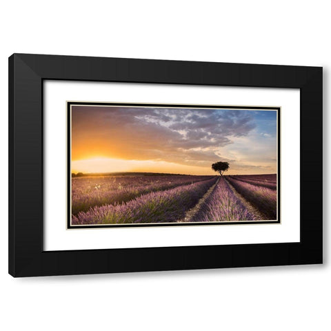 Destination Lavender Black Modern Wood Framed Art Print with Double Matting by Ros, Fran