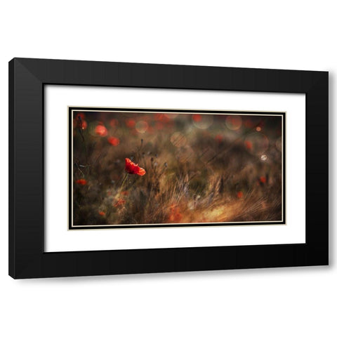Poppy Black Modern Wood Framed Art Print with Double Matting by Quaglia, Nicodemo