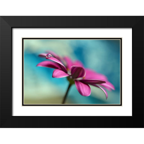 Pattern Drop Black Modern Wood Framed Art Print with Double Matting by Westum, Heidi