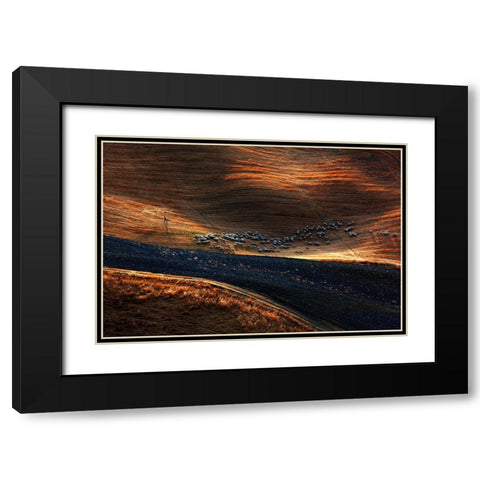 Il Gregge 3 Black Modern Wood Framed Art Print with Double Matting by Della Latta, Massimo