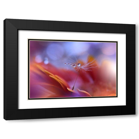 Dance In The Light... Black Modern Wood Framed Art Print with Double Matting by Nan, Juliana