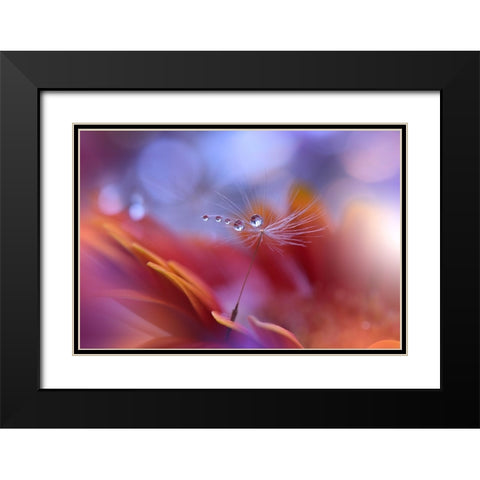 Dance In The Light... Black Modern Wood Framed Art Print with Double Matting by Nan, Juliana