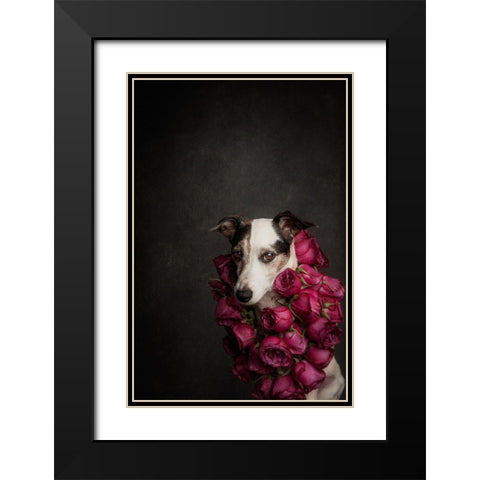 Rose Queen Ii Black Modern Wood Framed Art Print with Double Matting by Willers, Heike