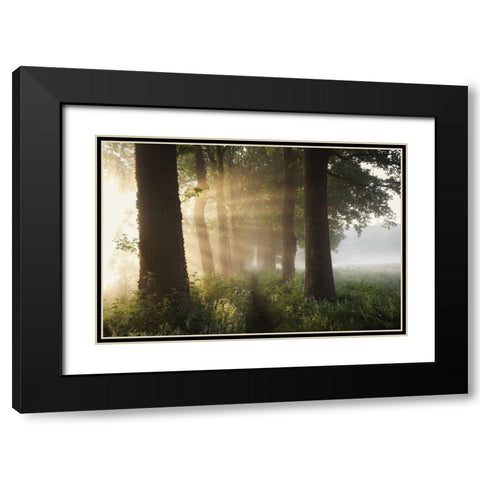 First Day Of Summer Black Modern Wood Framed Art Print with Double Matting by Croce, Vincent