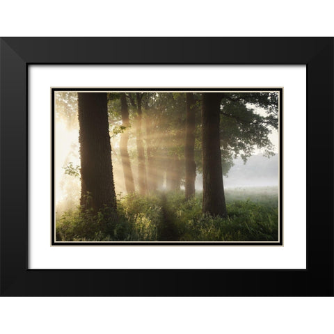 First Day Of Summer Black Modern Wood Framed Art Print with Double Matting by Croce, Vincent