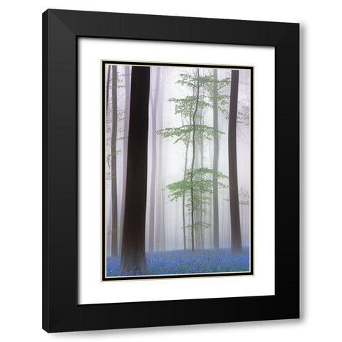 Foggy Forest .... Black Modern Wood Framed Art Print with Double Matting by Haaksma, Piet