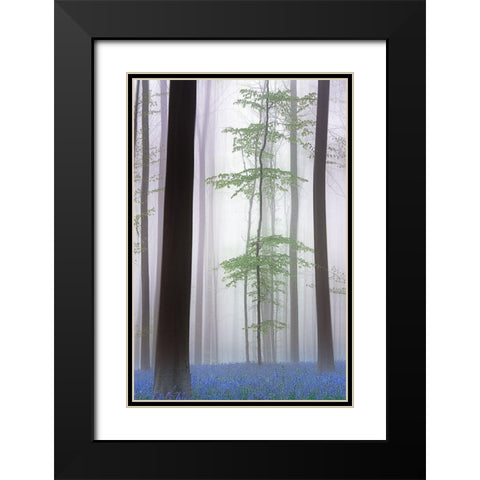 Foggy Forest .... Black Modern Wood Framed Art Print with Double Matting by Haaksma, Piet