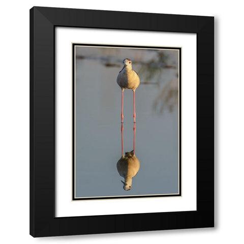 Mirror Black Modern Wood Framed Art Print with Double Matting by Tamajo, Massimo