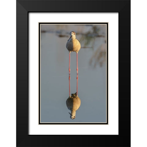 Mirror Black Modern Wood Framed Art Print with Double Matting by Tamajo, Massimo